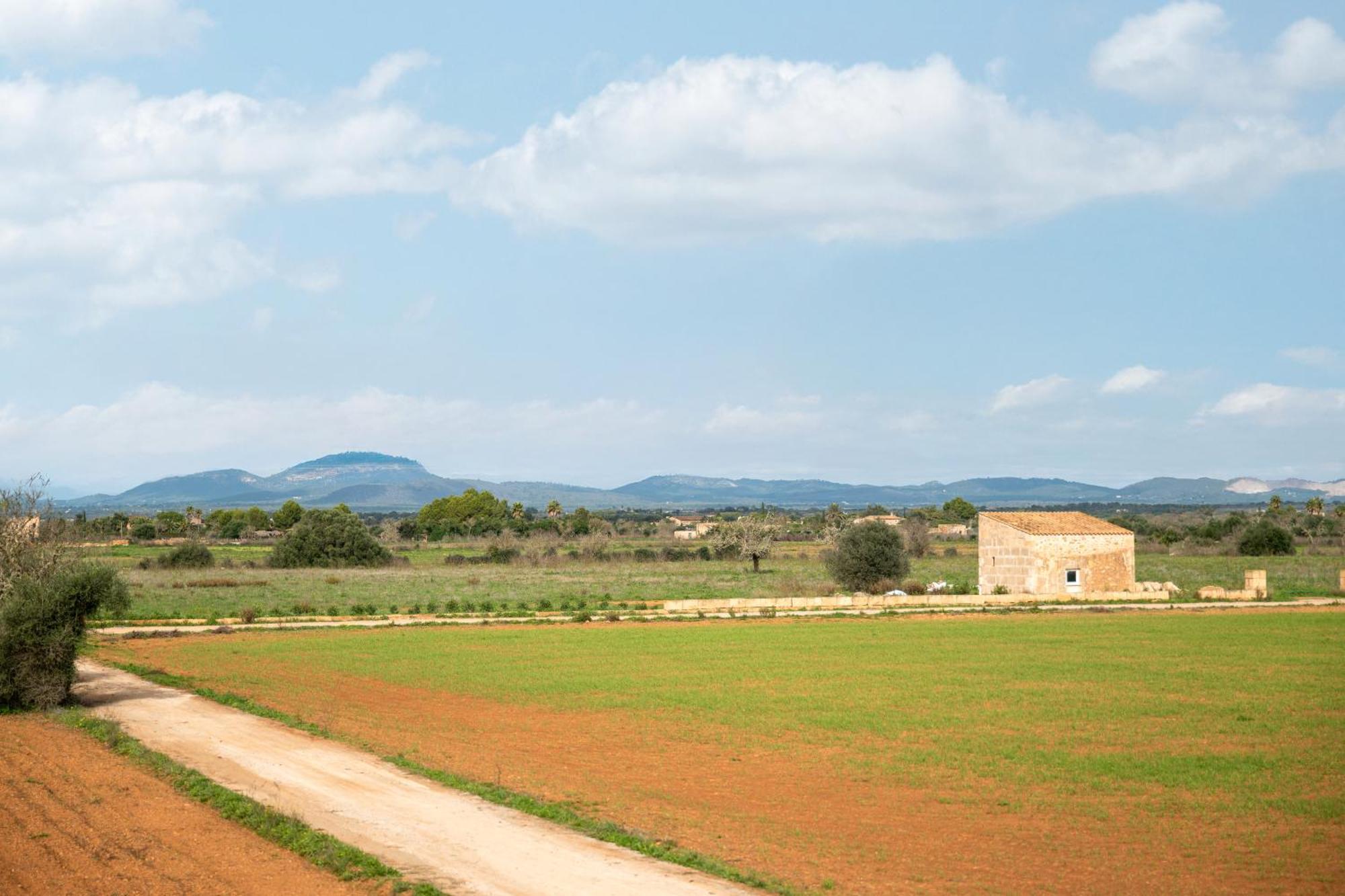 House Son Coves Ferienhaus